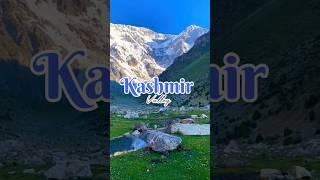 Kashmir travel guide in Rs. 9000  | kashmir budget travel guide #shorts #kashmiri