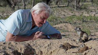 Wanderlust travel magazine - Sir David Attenborough (1)