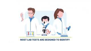 Micronutrient Testing