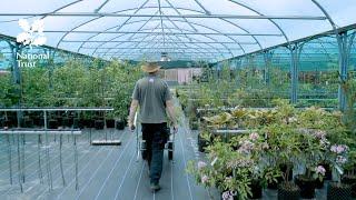 Step inside the world of plants - a behind the scenes tour of the National Trust conservation centre