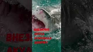 Нападение акулы. Бетани Гамильтон