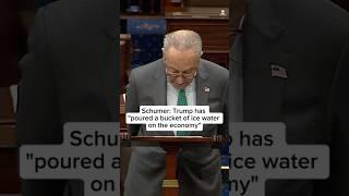 Schumer: Trump has 'poured a bucket of ice water on the economy'