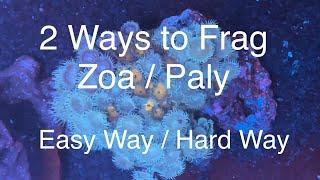 2 Ways to Frag Zoanthids / Palythoas - Zoa / Paly Fragging Saltwater Coral Reef Aquarium