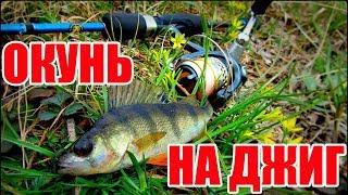 Ловля окуня на микро джиг с лодки -поклевка на каждом забросе!