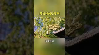 其实你不是没时间，你只是懒。#懒惰 #假装自己很忙  #假努力 #不用心 #时间挤一挤总有的   #命理 #風水 #佛教 #傳統文化