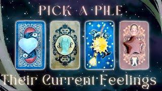 How They’re Currently Feeling About You Pick a Card Timeless In-Depth Love Tarot Reading