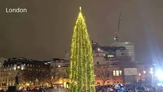 Virtual Travel: Best Christmas Trees 2024-25  Around the World