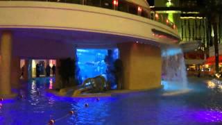 H2O Bar and Pool at the Golden Nugget Casino and Resort