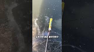연못에 폭죽을 넣으면 벌어지는 일