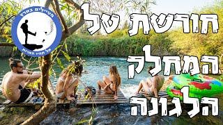 הלגונה בדן | המחלק בדפנה | חורשת טל - מטיילים בארץ