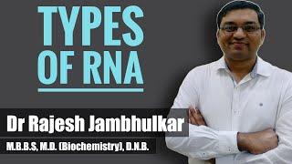 Types of RNAs