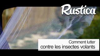 Lutter naturellement contre les insectes volants en été