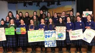 St Vincent’s Secondary School Dundalk Action against Climate Change song 3rd Year students 15/3/19