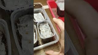 Баклажаны проросли на третий день! И вообще всë проросло! Туалетная бумага творит чудеса :)