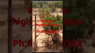 warangal highway facing venture|HMDA PLOTS FOR SALE AT WARANGAL HIGHWAY
