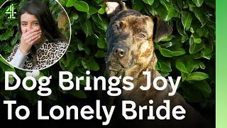 Rescue Dog Warms the Heart of a Lonely Bride after Leaving Family | The Dog House 