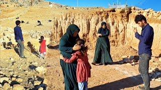 The shopkeeper's boy tries to find the sheep and ask the grandmother