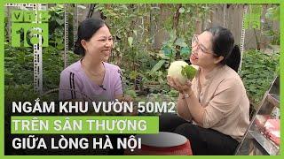 Ngắm vườn rau trên sân thượng giữa lòng Hà Nội | VTC16