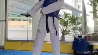 Taekwondo Different Fighting Stances "Funny" 