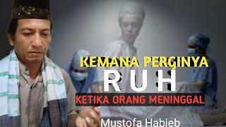 Kemana Ruh pergi setelah meninggalkan jasad#mustofahabieb