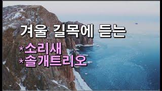 겨울의 길목에서 - 소리새 /  솔개트리오 [ 그대 그리고 나 / 아직도 못다한 사랑 / 여인 / 통나무집 / 계절의 길목에서 ...]