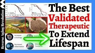 The BEST Validated Therapeutic To EXTEND LIFESPAN