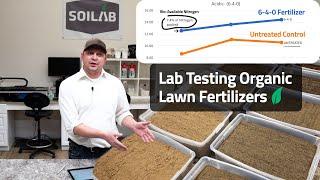 What is The Best Organic Lawn Fertilizer?