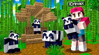 Ich BAUE ein PANDA GEHEGE in MINECRAFT! 