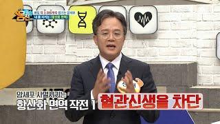 만들어진 혈관을 고립시켜 영양분을 차단하라! ▶항산화 면역 첫 번째 작전◀  | 나는 몸신이다 347 회