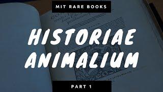 MIT Rare Books | History of Animals pt 1