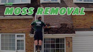 Moss Removal By LBC Exterior Cleaning