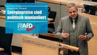 Frank Otto Lizureck: Energiepreise sind politisch manipuliert