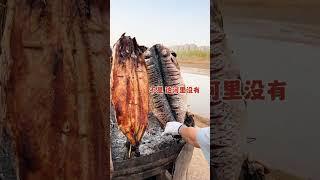 新疆河边的烤鱼90一公斤 一条400多外皮酥脆鱼肉软嫩太香了！#路边摊美味