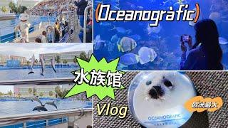 vlog｜西班牙瓦伦西亚Oceanogràfic水族馆欧洲最大水族馆与海洋生物奇观 | 海豚表演、鲨鱼隧道、白鲸、热带鱼与更多精彩｜Valencia 闺蜜游记｜小米丘XiaoMiChu