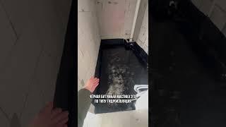 #беловстрой #стройка #ремонт #ремонтактобе