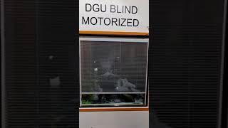 Dgu Sandwich Glass Blind