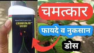 Chamatkar Plant Growth Regulator || Gharda Chamatkar PGR || Dose || Benefits