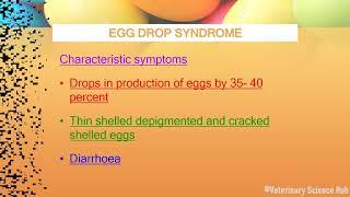 Egg drop syndrome which causes decrease in egg production