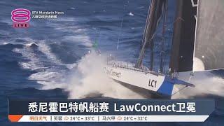 悉尼霍巴特帆船赛  LawConnect卫冕【2024.12.28 八度空间华语新闻】