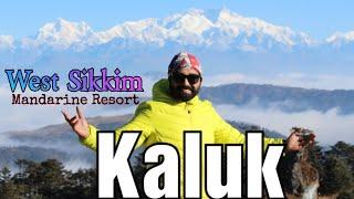 West Sikkim Road Trip With Mahindra Thar | Kaluk Mandarine Village Resort |Pellingskywalk