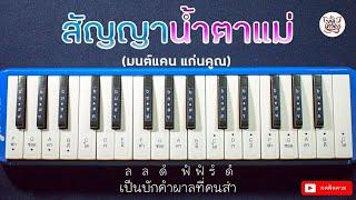 โน้ตเพลง สัญญาน้ำตาแม่ - มนต์แคน แก่นคูณ I Cover เมโลเดียน By สมหวัง