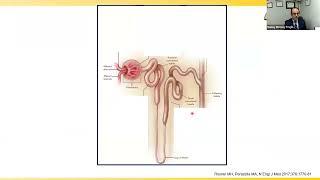 Nephrotoxicity from Immune Checkpoint Inhibitors