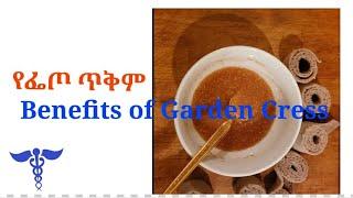 BENIFITS OF GARDEN CRESS || የፌጦ ጥቅም|| Eleni Adera