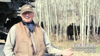 Winter Grazing Systems: Calving Time