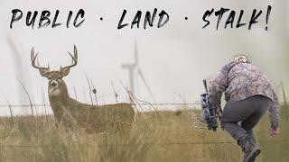 Spot and Stalk a PUBLIC LAND GIANT! | Bowhunting DEER from the Ground