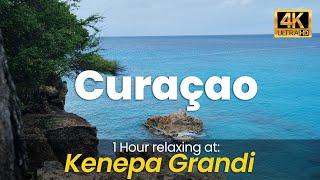 4K Bright Blue Caribbean Water: Curaçao - Kenepa Grandi (relax video)