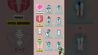 Yoga Pilates -Reduce Belly Fat part 353#yoga #weightloss #bellyfatloss #shorts