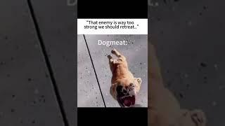 Dog meat fall out meme