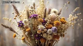 Beautiful Flower Wallpaper Background Images Free Download 001