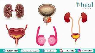 Kidney Cancer: Symptoms, Diagnosis, and Treatment Options by Dr Pradeep Bansal